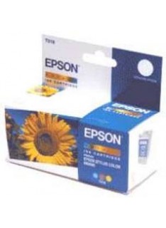 CARTUCCIA ORIGINALE EPSON T01840120 COLORE