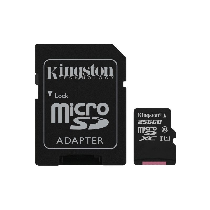 TRANS FLASH 256 GB (SDCS/256GB) CLASS 10