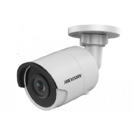 TELECAMERA SORVEGLIANZA IP (DS-2CD2023G0-I2) 2.8