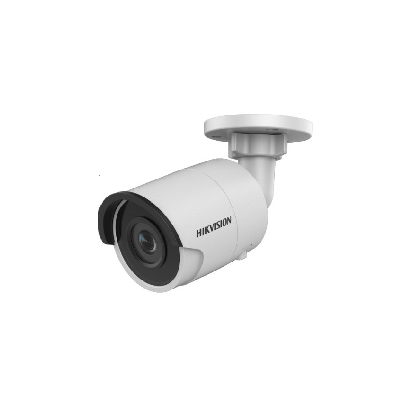 TELECAMERA SORVEGLIANZA IP (DS-2CD2023G0-I2) 2.8