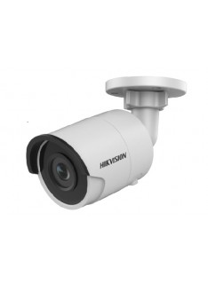 TELECAMERA SORVEGLIANZA IP (DS-2CD2023G0-I2) 2.8
