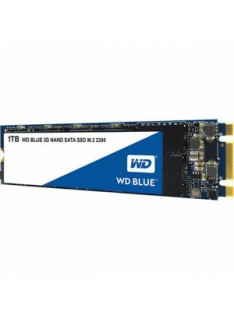 HARD DISK SSD 1TB BLUE M.2 (WDS100T2B0B)