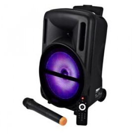 CASSA AUDIO AMPLIFICATO HPS B10 500 WATT CON RADIOMICROFONO