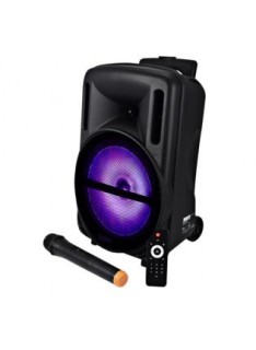 CASSA AUDIO AMPLIFICATO HPS B10 500 WATT CON RADIOMICROFONO