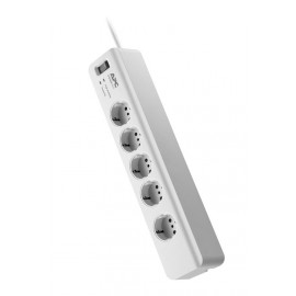 MULTIPRESA UPS SURGE ARREST ESSENTIAL 5 (PM5-IT)