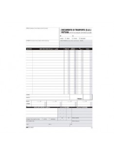 DDT 2 COPIE FORMATO A4 (00395)