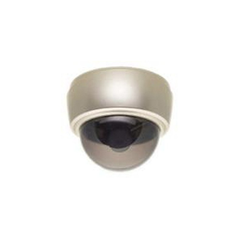 TELECAMERA SORVEGLIANZA IP DOME TYPE FIC-DM310
