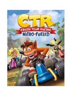 VIDEOGIOCO CRASH TEAM RACING NITRO FUELED EU - PER PS4