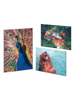 MOUSE PAD MP-PICTURE PI CON FOTO ANTISCIVOLO