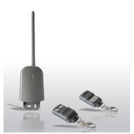 KIT RICEVITORE DA ESTERNO 2 TELECOMANDI (RC-KIT4331R2TE-002)