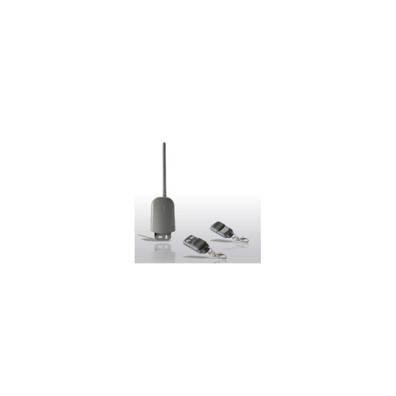 KIT RICEVITORE DA ESTERNO 2 TELECOMANDI (RC-KIT4331R2TE-002)