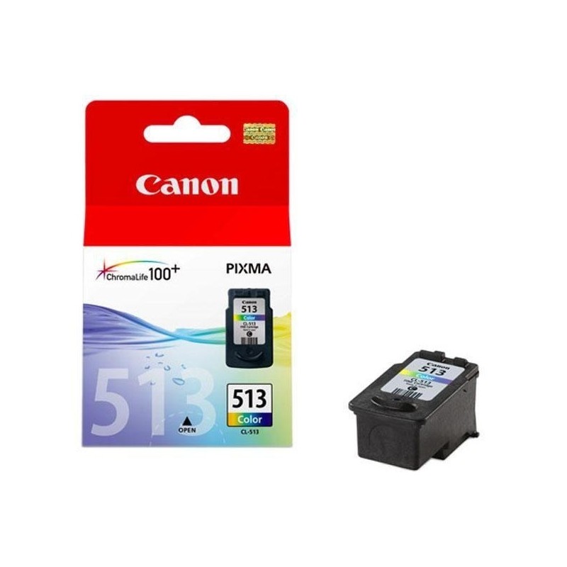 CARTUCCIA ORIGINALE CL-513 (2971B001) COLORE