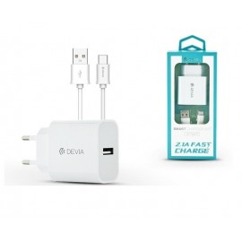 CARICABATTERIE DA PARETE FAST CHARGE + CAVO TYPE C (DESC21C124W)