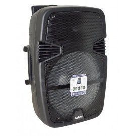 CASSA AUDIO BM 115RX 800W PMPO WIRELESS SOLO RICEVENTE