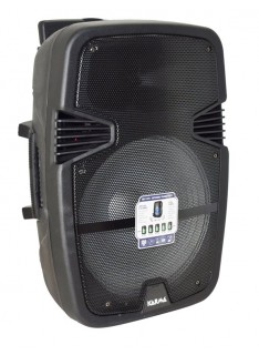 CASSA AUDIO BM 115RX 800W PMPO WIRELESS SOLO RICEVENTE