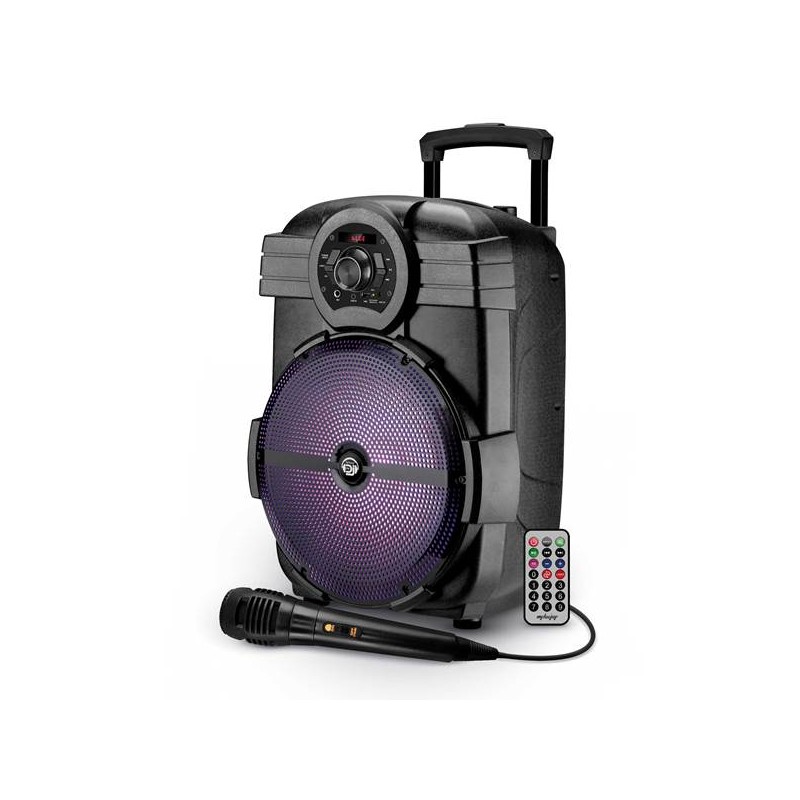 CASSA AUDIO AMPLIFICATO SMART SONIC 12 600 WATT CON MICROFONO