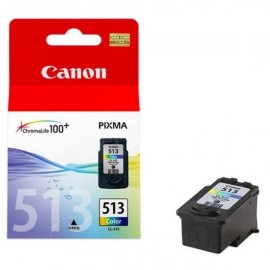 CARTUCCIA ORIGINALE CL-513 (2971B001) COLORE